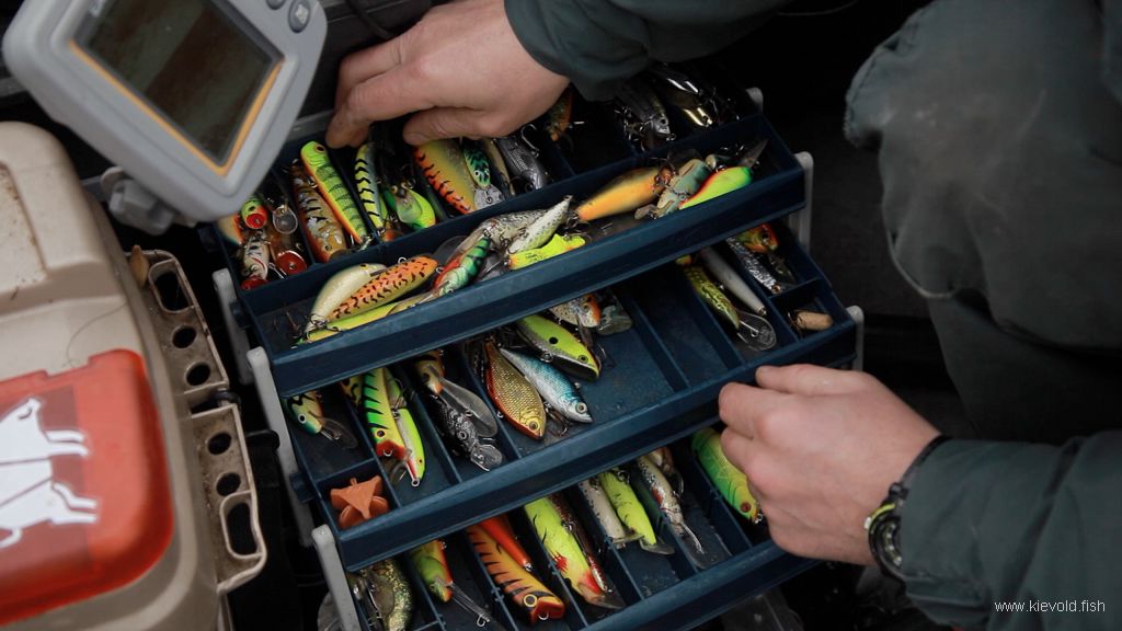 рыбалка в сорокошичах