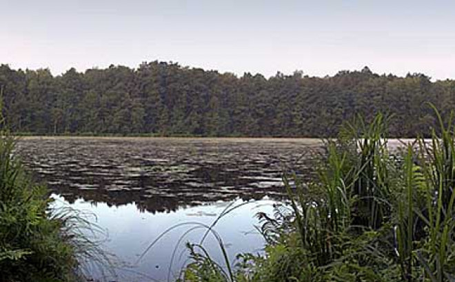 Тамбовская область