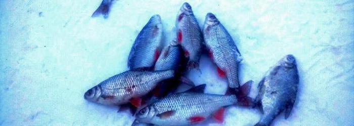 глубины яузского водохранилища