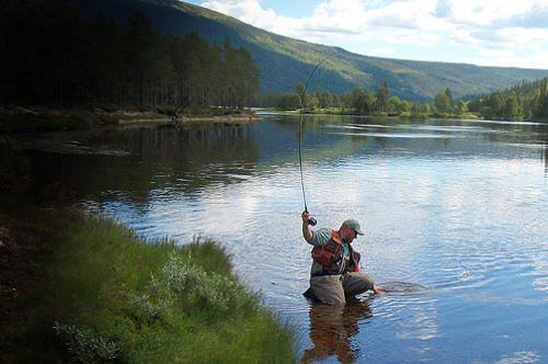Самые рыбные места в Ярославле