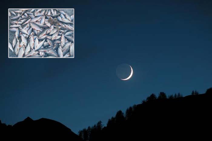 молодая луна