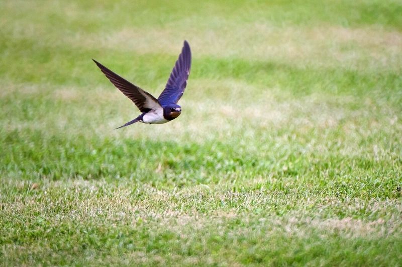 Точнее метеорологов вам расскажут о погоде проверенные веками народные приметы