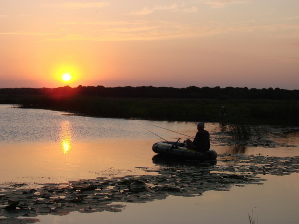 Щучья погода освещенность