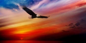 Древние славянские знаки зодиака по месяцам, годам и дате рождения: характеристика личности