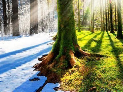 сретение господне приметы в этот день