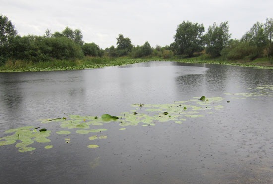 Тихий дождь над озером
