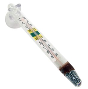 Zemanta Related Posts Thumbnail