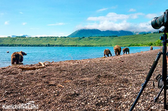 ловля рыбы косолапыми 