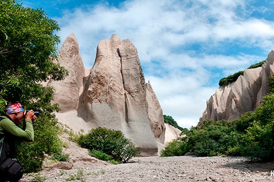 Наблюдение за медведями на Камчатке