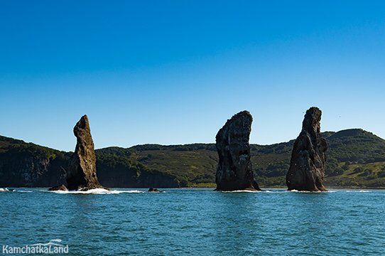 Тур медведи Камчатки