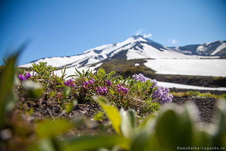 экскурсия на авачинский перевал