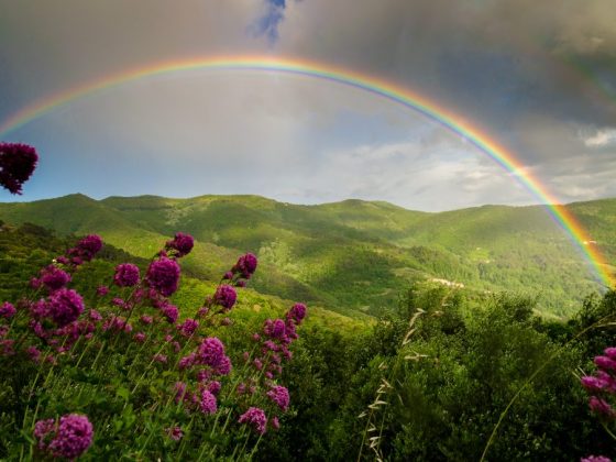Увидеть в небе радугу