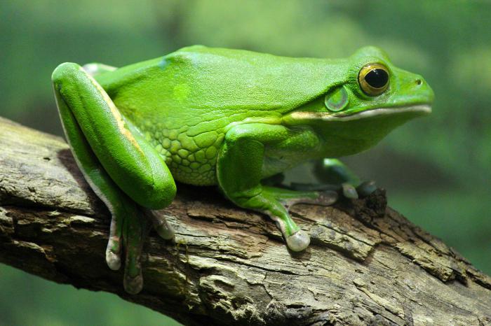 Когда придет весна