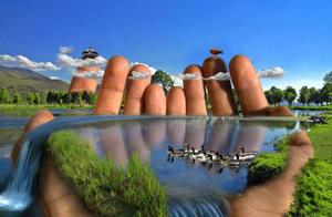 Организации по защите окружающей среды