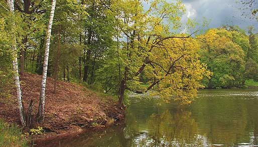 Влияние летней погоды на клев рыбы фотография