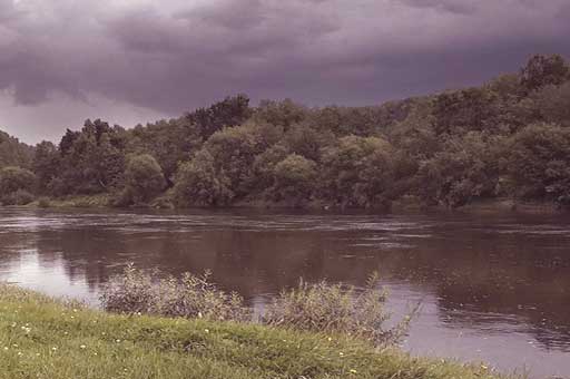 Влияние осадков на клев рыбы летом фотография