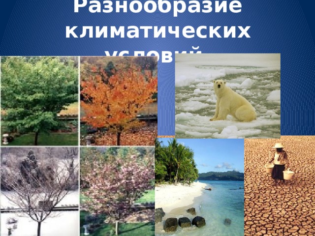 Разнообразие климатических условий.