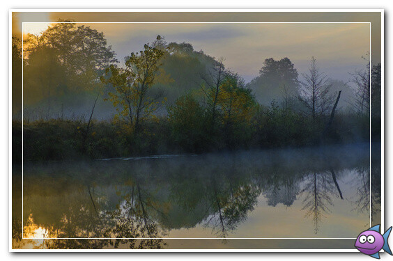 утро река туман