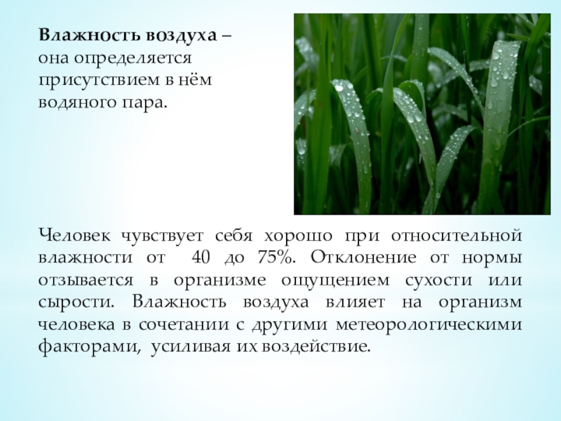 Влажность воздуха – она определяется присутствием в