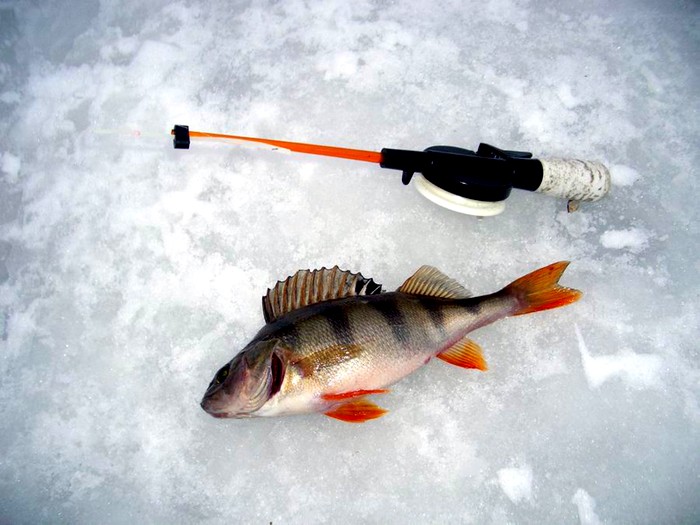 зимняя рыбалка (5)