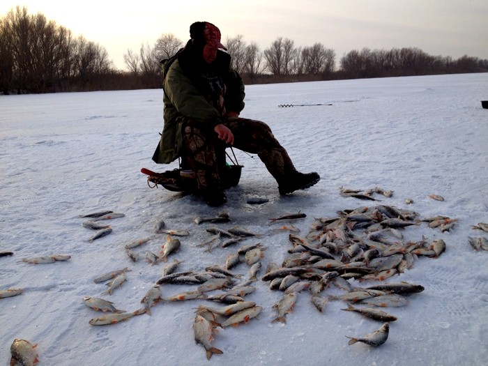 зимняя рыбалка (4)
