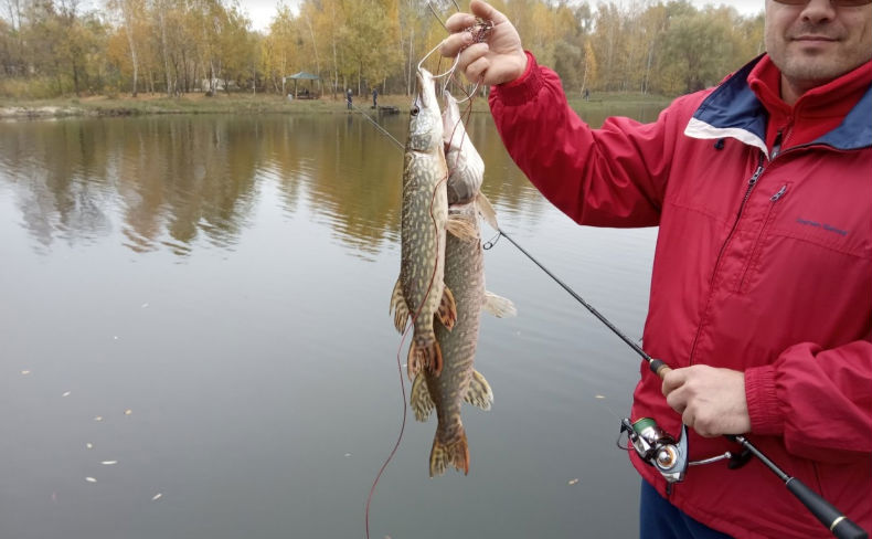 Билет в клуб рыбаков «Королек» – и вы ловите рыбу, не выезжая из города