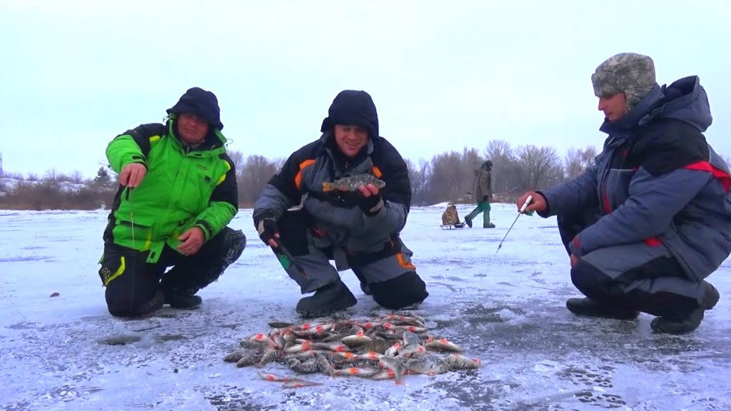Зимняя рыбалка на окуня на Днепре