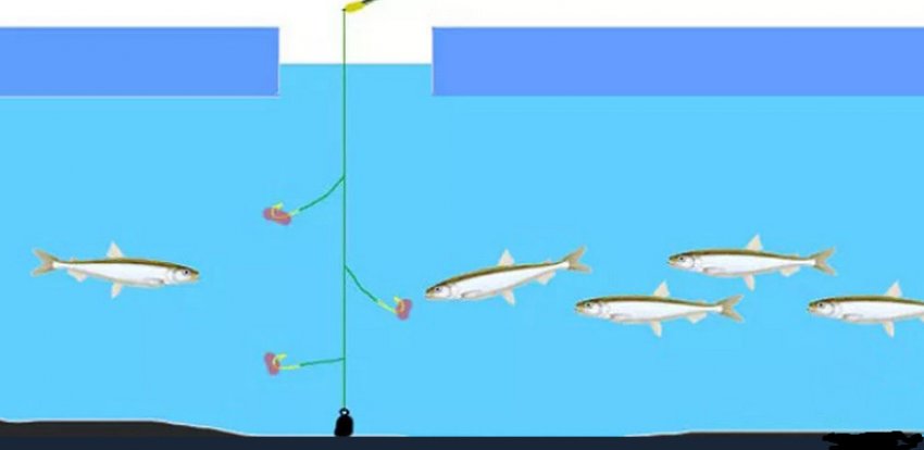 Лов на самодур