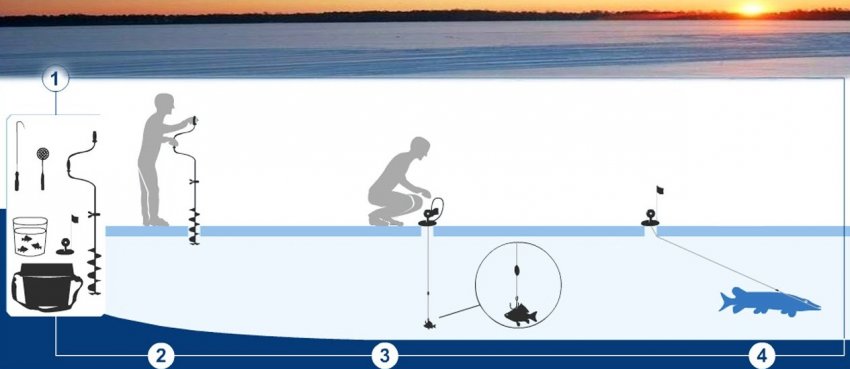 Лов на жерлицу