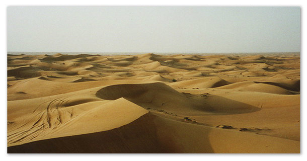 Сообщение о пустыни.