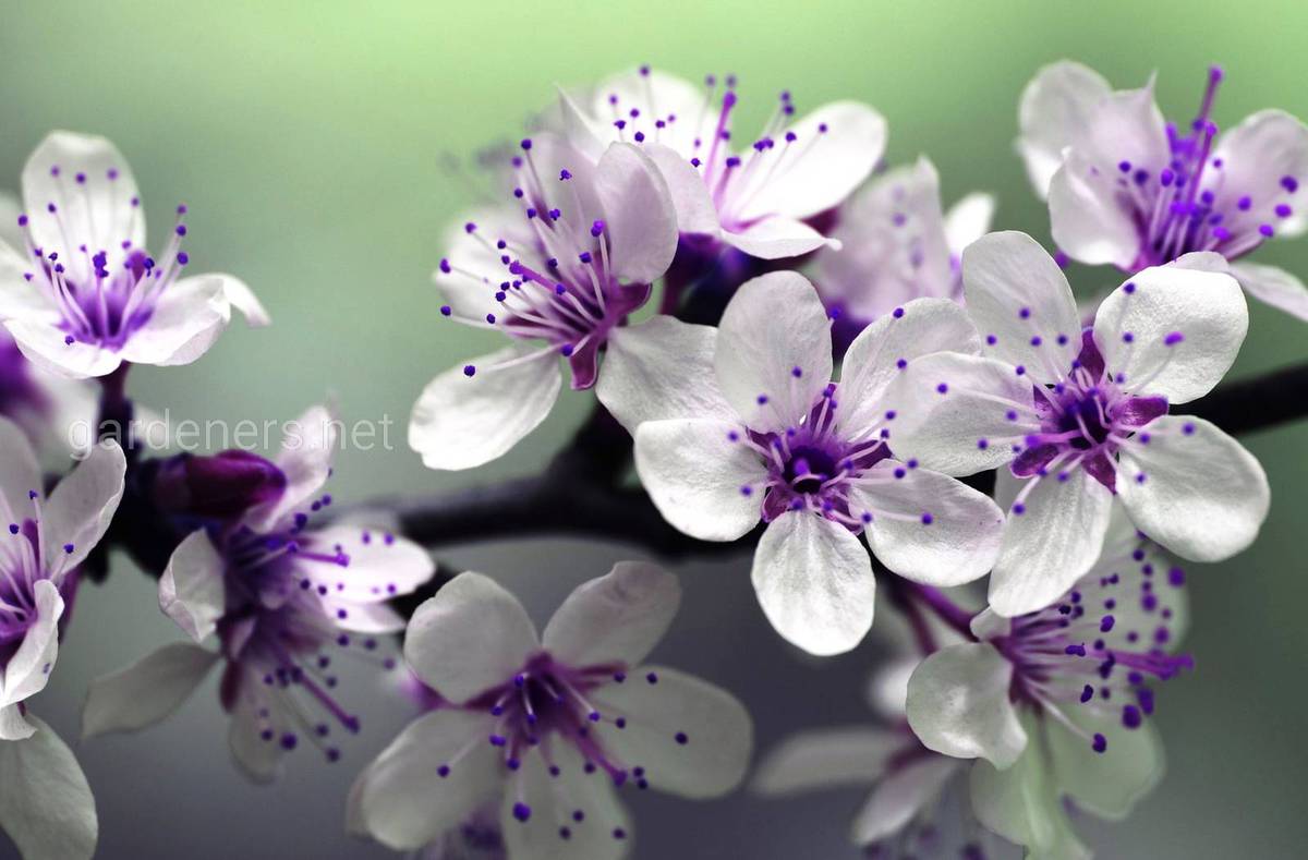 погода в апреле