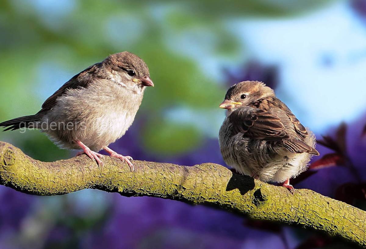чего ждать в апреле