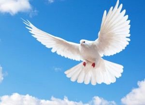 Благовещение Пресвятой Богородицы: приметы и суеверия