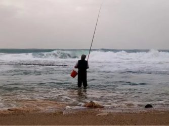 Как ловить кефаль в черном море?