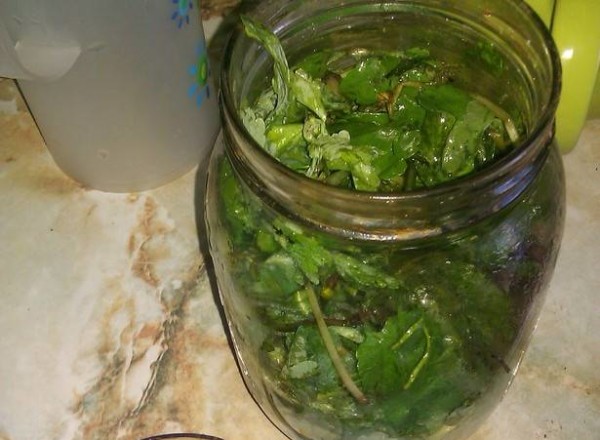 Приготовленная настойки из чистотела