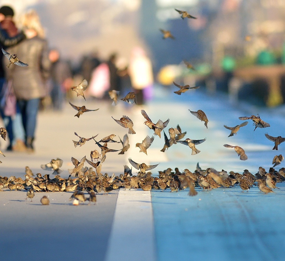 какие приметы погоды на благовещение