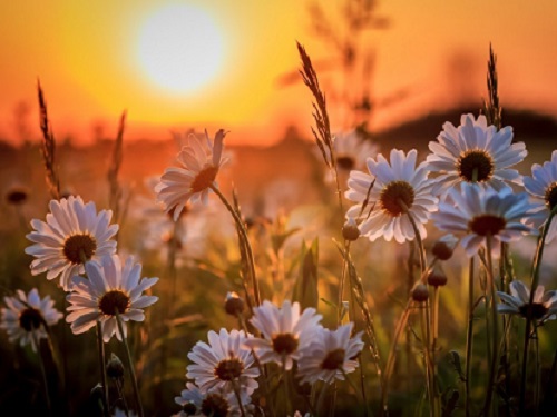 Каким будет лето в 2019 году: приметы