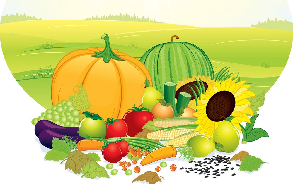 Какая будет погода летом, народные приметы по природе, на урожай 2020