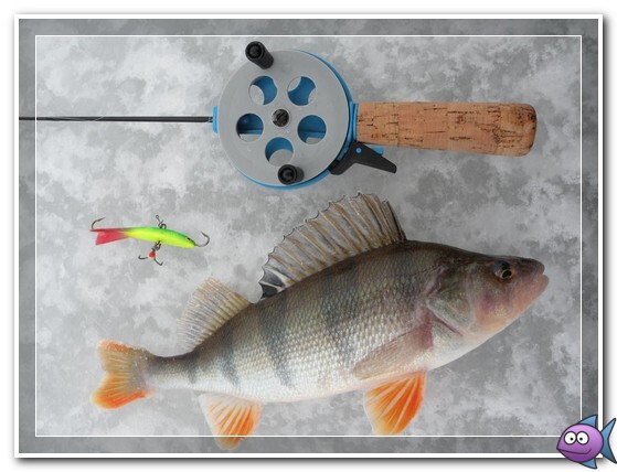 окунь на балансир