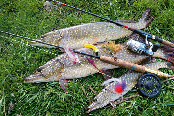 Ловля щуки, погода для ловли щуки, в какую погоду ловить щуку, лучшая погода для ловли щуки, когда ловить щуку, щучья погода, ловля щуки давление, ловля щуки дождь, ловля щуки ветер, щучья погода осенью, щучья погода весной, щучья погода зимой, щучья погода летом