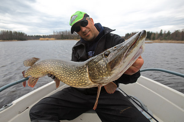 Ловля щуки, погода для ловли щуки, в какую погоду ловить щуку, лучшая погода для ловли щуки, когда ловить щуку, щучья погода, ловля щуки давление, ловля щуки дождь, ловля щуки ветер, щучья погода осенью, щучья погода весной, щучья погода зимой, щучья погода летом
