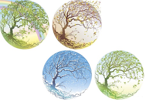 времена года