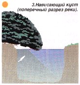 Летняя рыбалка на малых реках забайкалья