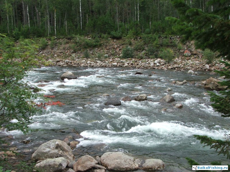 Летняя рыбалка на малых реках забайкалья