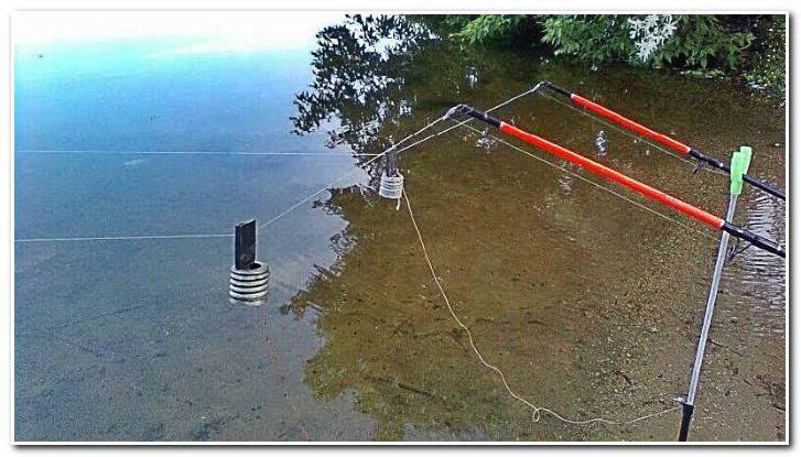 донка осенью