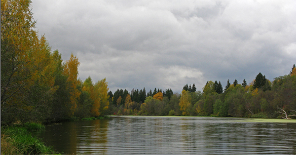 Пасмурный день на реке