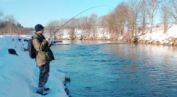 Щука весной