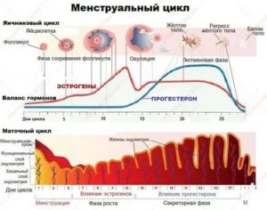 Может ли смена климата повлиять на задержку месячных