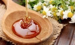 Народные приметы и поверья на Медовый Спас