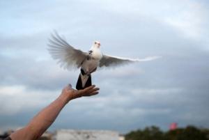 Приметы на благовещенье